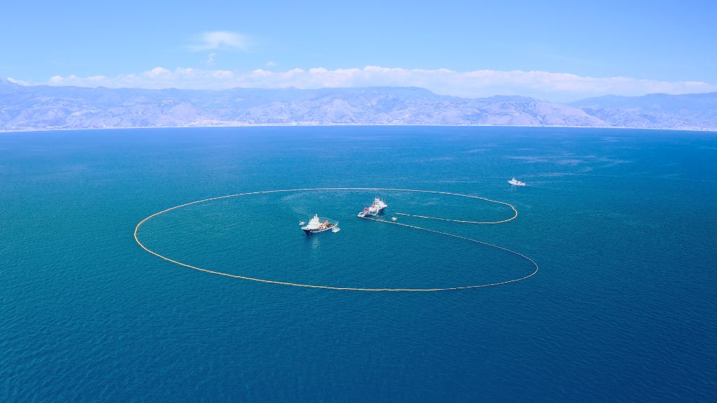 Purse Seine Fishing Aerial View