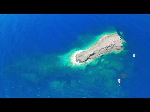 Ustica l'isola e i suoi fondali