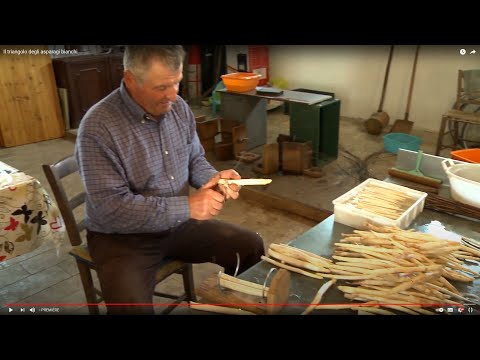 Il triangolo degli asparagi bianchi