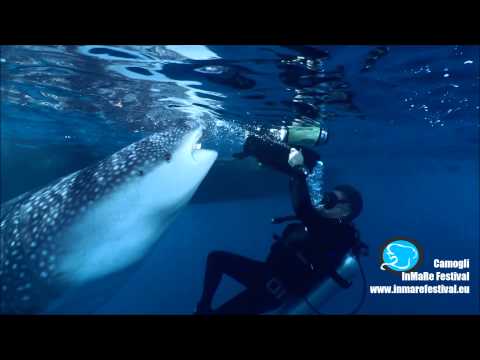 Il Gigante e il Pescatore RAI GEO