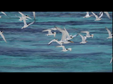 Feridhoo Island Maldives