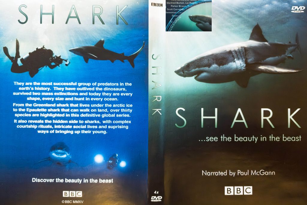 BBC Shark DVD Cover